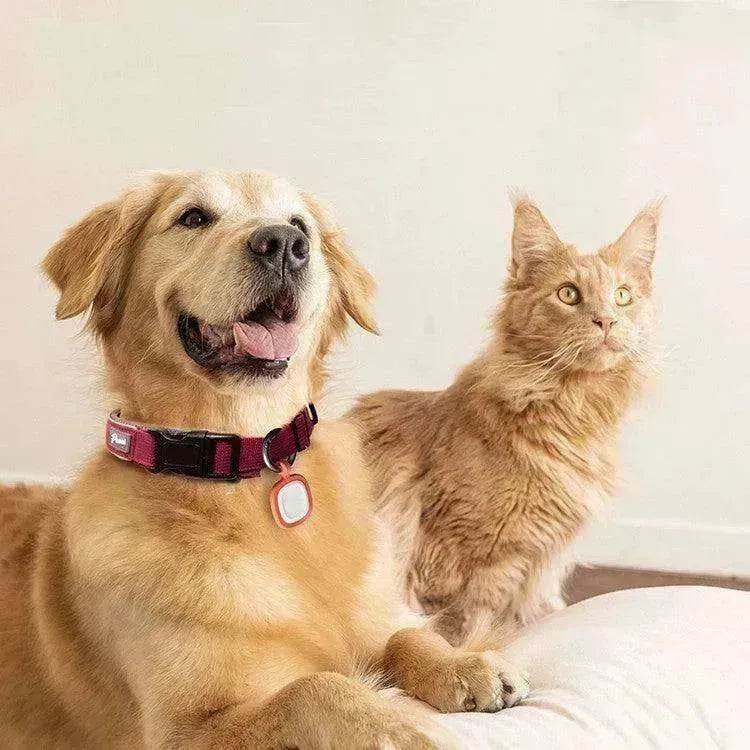 Pet Supplies Accessories for Your Furry Friends