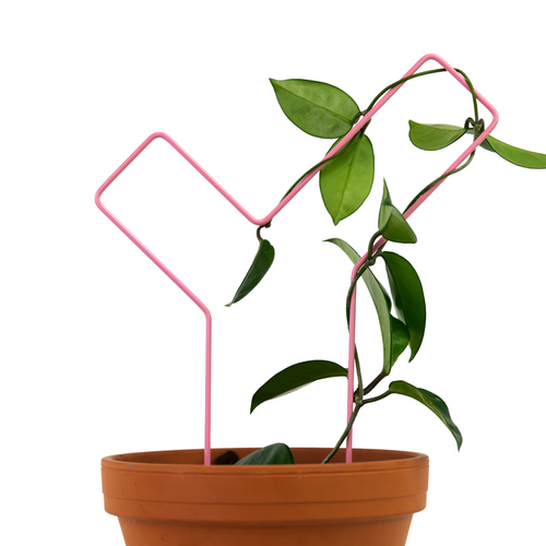 "Check Mark" Metal Trellis - www.Shopthatapp.com #