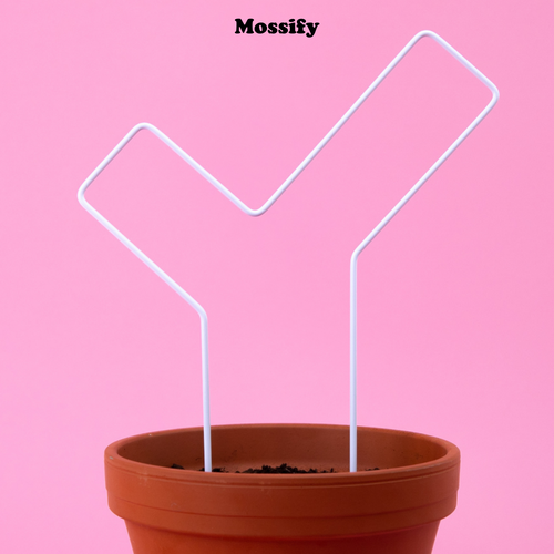 "Check Mark" Metal Trellis - www.Shopthatapp.com #