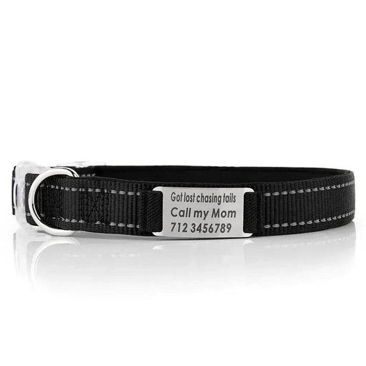 Customized Nylon Dog Collar - www.Shopthatapp.com #