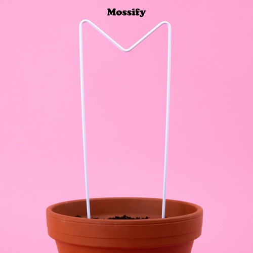 "M" Metal Trellis - www.Shopthatapp.com #