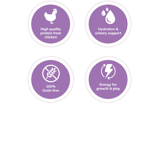 Wellness Complete Health™ Pâté Chicken Cat Wet Food - www.Shopthatapp.com #